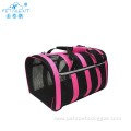 Bright colors Lovely Pet mesh display dog bag